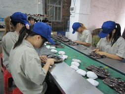 东莞安盈验货服务 保洁服务行业的品质守护者